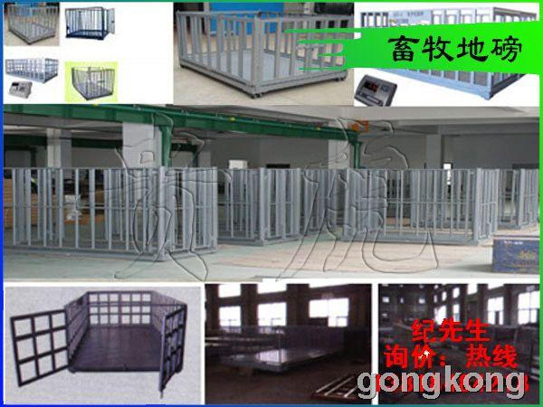 上海動(dòng)物秤廠家(1噸/2噸/3噸/5噸/10噸/15噸/20噸/30噸/50噸)電子動(dòng)物地磅價(jià)格 上海動(dòng)物秤廠家(1噸/2噸/3噸/5噸/10噸/15噸/20噸/30噸/50噸)電子動(dòng)物地磅價(jià)格