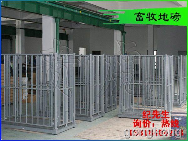 热销畜牧秤-1吨｜2吨｜3吨｜5吨｜2.5吨｜3吨电子畜牧秤价格